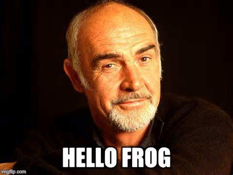 HELLO FROG | made w/ Imgflip meme maker