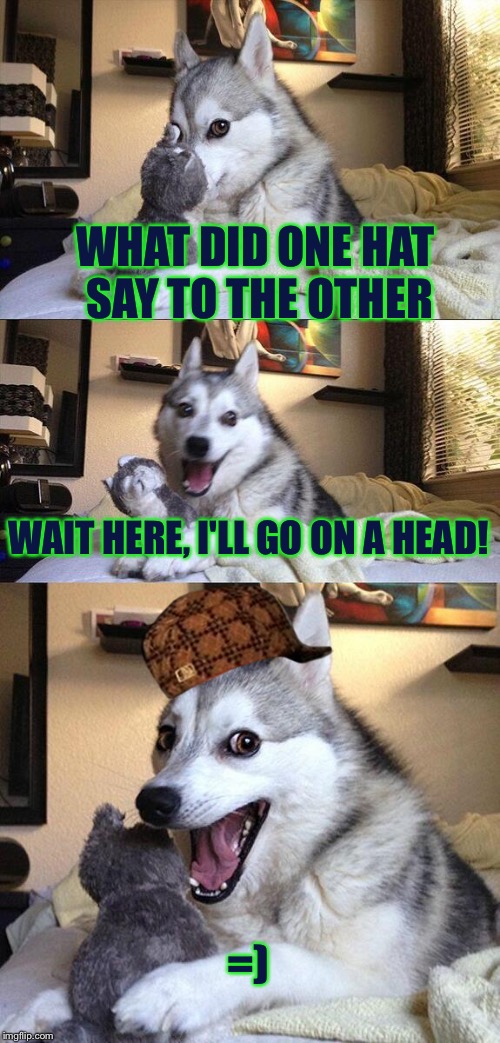 Yup... I did that..... | WHAT DID ONE HAT SAY TO THE OTHER; WAIT HERE, I'LL GO ON A HEAD! =) | image tagged in memes,bad pun dog,scumbag | made w/ Imgflip meme maker