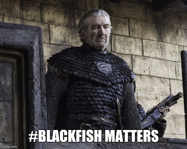 Blackfish | #BLACKFISH MATTERS | image tagged in blackfish | made w/ Imgflip meme maker