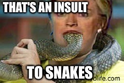 THAT'S AN INSULT TO SNAKES | made w/ Imgflip meme maker