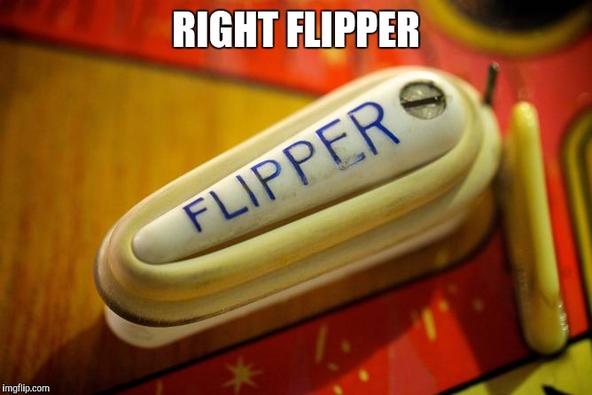 RIGHT FLIPPER | made w/ Imgflip meme maker