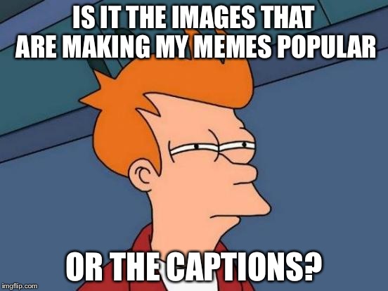 Futurama Fry Meme | IS IT THE IMAGES THAT ARE MAKING MY MEMES POPULAR; OR THE CAPTIONS? | image tagged in memes,futurama fry | made w/ Imgflip meme maker