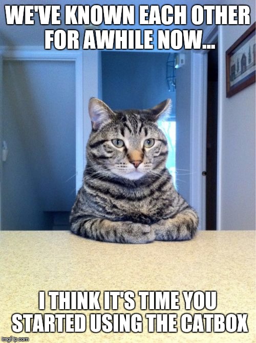 It's Only Fair | WE'VE KNOWN EACH OTHER FOR AWHILE NOW... I THINK IT'S TIME YOU STARTED USING THE CATBOX | image tagged in memes,take a seat cat | made w/ Imgflip meme maker