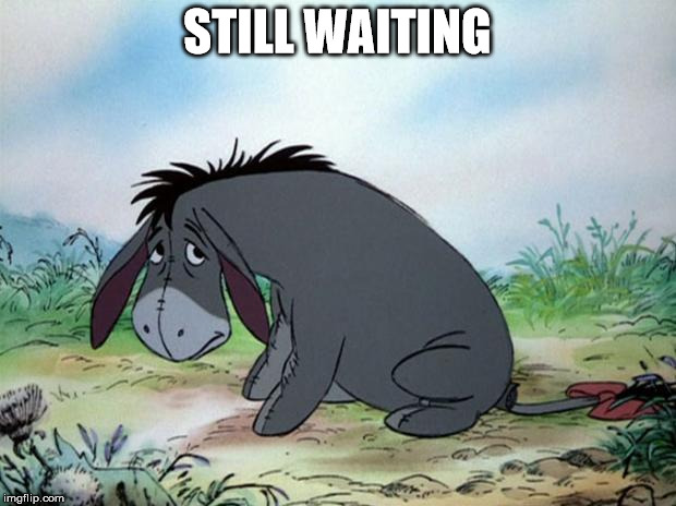 eeyore | STILL WAITING | image tagged in eeyore | made w/ Imgflip meme maker