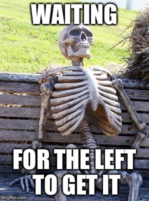 Waiting Skeleton Meme | WAITING FOR THE LEFT TO GET IT | image tagged in memes,waiting skeleton | made w/ Imgflip meme maker