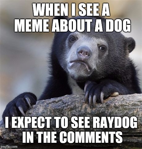 Confession Bear | WHEN I SEE A MEME ABOUT A DOG; I EXPECT TO SEE RAYDOG IN THE COMMENTS | image tagged in memes,confession bear | made w/ Imgflip meme maker
