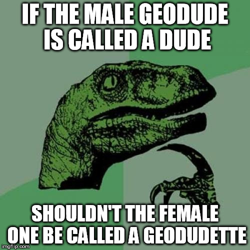 Philosoraptor Meme |  IF THE MALE GEODUDE IS CALLED A DUDE; SHOULDN'T THE FEMALE ONE BE CALLED A GEODUDETTE | image tagged in memes,philosoraptor,pokemon,funny,dude,the dude | made w/ Imgflip meme maker