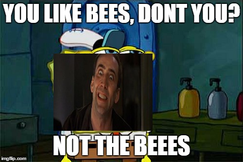 Don't you Nicholas Cage |  YOU LIKE BEES, DONT YOU? NOT THE BEEES | image tagged in memes,dont you squidward | made w/ Imgflip meme maker