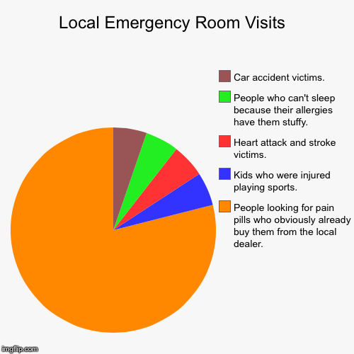 image tagged in funny,pie charts | made w/ Imgflip chart maker