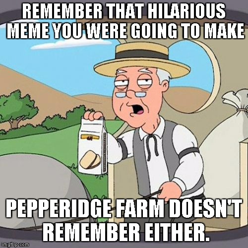 Pepperidge Farm Remembers Meme | REMEMBER THAT HILARIOUS MEME YOU WERE GOING TO MAKE; PEPPERIDGE FARM DOESN'T REMEMBER EITHER. | image tagged in memes,pepperidge farm remembers | made w/ Imgflip meme maker
