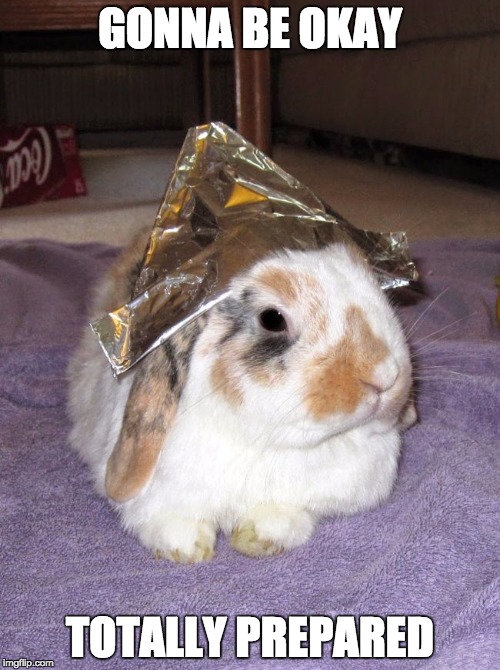 Conspiracy Bunny | GONNA BE OKAY; TOTALLY PREPARED | image tagged in conspiracy bunny | made w/ Imgflip meme maker