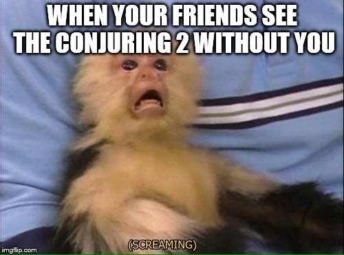 Screaming Monkey | WHEN YOUR FRIENDS SEE THE CONJURING 2 WITHOUT YOU | image tagged in screaming monkey | made w/ Imgflip meme maker