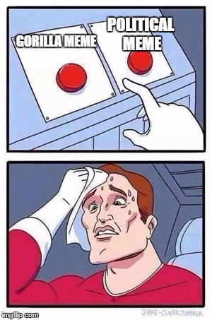Two Buttons | POLITICAL MEME; GORILLA MEME | image tagged in two buttons | made w/ Imgflip meme maker
