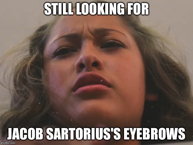 STILL LOOKING FOR; JACOB SARTORIUS'S EYEBROWS | image tagged in sweatshirt girl | made w/ Imgflip meme maker
