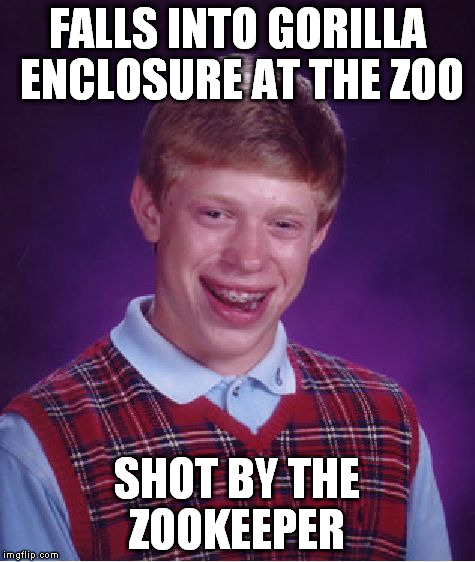 Bad Luck Brian Meme | FALLS INTO GORILLA ENCLOSURE AT THE ZOO; SHOT BY THE ZOOKEEPER | image tagged in memes,bad luck brian | made w/ Imgflip meme maker