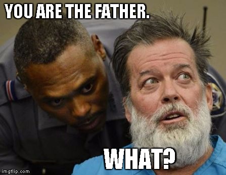 What? | YOU ARE THE FATHER. WHAT? | image tagged in what | made w/ Imgflip meme maker