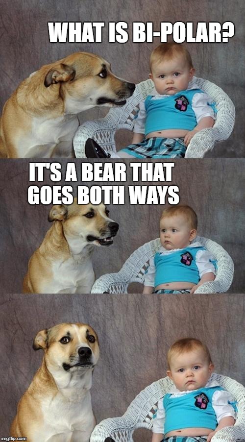 Dad Joke Dog | WHAT IS BI-POLAR? IT'S A BEAR THAT GOES BOTH WAYS | image tagged in memes,dad joke dog | made w/ Imgflip meme maker