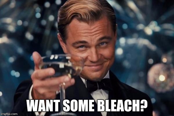 Leonardo Dicaprio Cheers | WANT SOME BLEACH? | image tagged in memes,leonardo dicaprio cheers | made w/ Imgflip meme maker