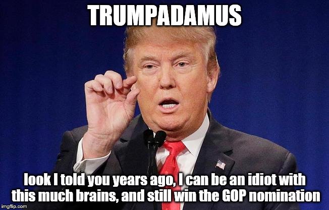 TRUMPADAMUS; look I told you years ago, I can be an idiot with this much brains, and still win the GOP nomination | image tagged in donald trump,president 2016,dude you're an idiot,hillary clinton,bernie sanders,bill clinton - sexual relations | made w/ Imgflip meme maker