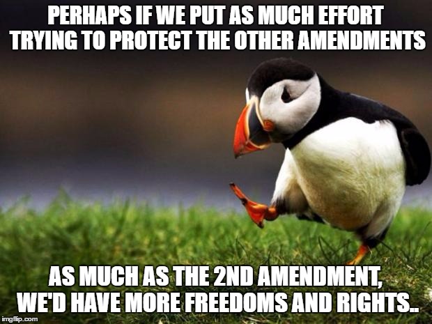 Unpopular Opinion Puffin | PERHAPS IF WE PUT AS MUCH EFFORT TRYING TO PROTECT THE OTHER AMENDMENTS; AS MUCH AS THE 2ND AMENDMENT, WE'D HAVE MORE FREEDOMS AND RIGHTS.. | image tagged in memes,unpopular opinion puffin | made w/ Imgflip meme maker