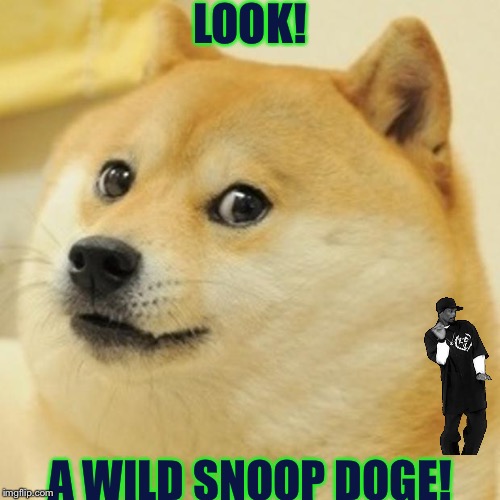 He This is a dank Meme | LOOK! A WILD SNOOP DOGE! | image tagged in memes,doge | made w/ Imgflip meme maker