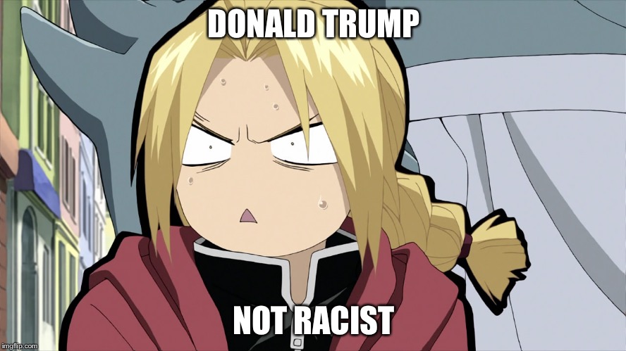 Edward Elric Angry/Shocked | DONALD TRUMP; NOT RACIST | image tagged in edward elric angry/shocked | made w/ Imgflip meme maker