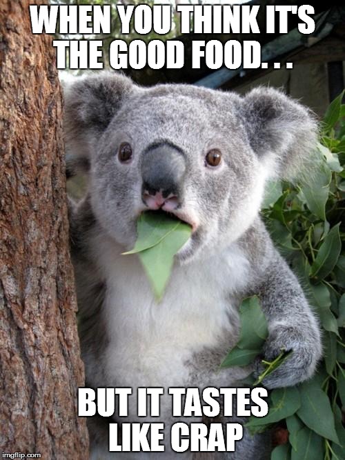 Surprised Koala Meme | WHEN YOU THINK IT'S THE GOOD FOOD. . . BUT IT TASTES LIKE CRAP | image tagged in memes,surprised koala | made w/ Imgflip meme maker