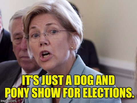 IT'S JUST A DOG AND PONY SHOW FOR ELECTIONS. | made w/ Imgflip meme maker