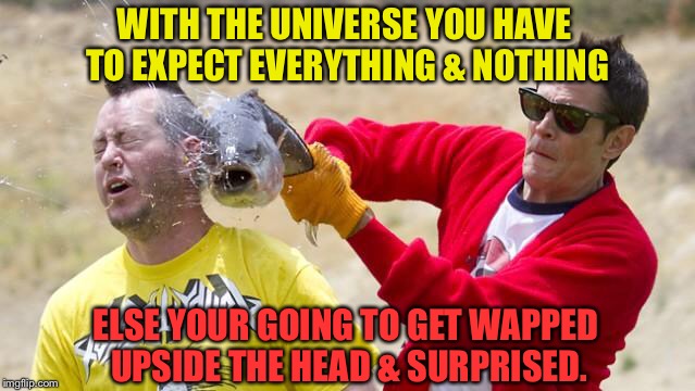What to Expect | WITH THE UNIVERSE YOU HAVE TO EXPECT EVERYTHING & NOTHING; ELSE YOUR GOING TO GET WAPPED UPSIDE THE HEAD & SURPRISED. | image tagged in expect,universe,nothing,everything,surprised,head | made w/ Imgflip meme maker