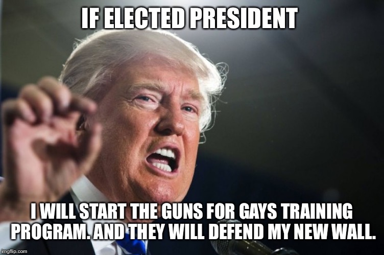 donald trump | IF ELECTED PRESIDENT; I WILL START THE GUNS FOR GAYS TRAINING PROGRAM. AND THEY WILL DEFEND MY NEW WALL. | image tagged in donald trump | made w/ Imgflip meme maker