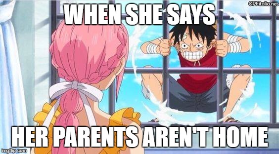 One piece | WHEN SHE SAYS; HER PARENTS AREN'T HOME | image tagged in one piece,luffy,rebecca,funny,lol | made w/ Imgflip meme maker