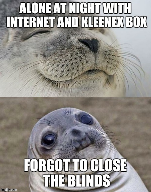 Short Satisfaction VS Truth | ALONE AT NIGHT WITH INTERNET AND KLEENEX BOX; FORGOT TO CLOSE THE BLINDS | image tagged in memes,short satisfaction vs truth | made w/ Imgflip meme maker