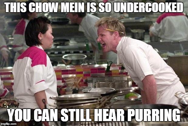 Gordon Ramsey | THIS CHOW MEIN IS SO UNDERCOOKED; YOU CAN STILL HEAR PURRING | image tagged in gordon ramsey,memes,funny,cats,chinese food | made w/ Imgflip meme maker