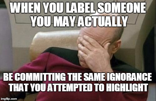 Captain Picard Facepalm Meme | WHEN YOU LABEL SOMEONE YOU MAY ACTUALLY; BE COMMITTING THE SAME IGNORANCE THAT YOU ATTEMPTED TO HIGHLIGHT | image tagged in memes,captain picard facepalm | made w/ Imgflip meme maker
