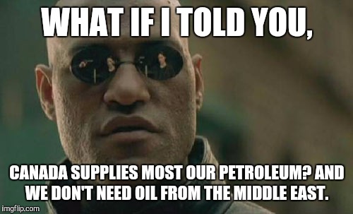 Matrix Morpheus Meme | WHAT IF I TOLD YOU, CANADA SUPPLIES MOST OUR PETROLEUM? AND WE DON'T NEED OIL FROM THE MIDDLE EAST. | image tagged in memes,matrix morpheus | made w/ Imgflip meme maker