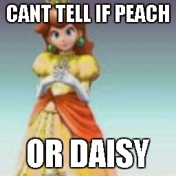 CANT TELL IF PEACH; OR DAISY | image tagged in kyliepeach | made w/ Imgflip meme maker