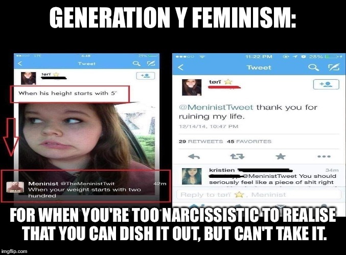 GENERATION Y FEMINISM:; FOR WHEN YOU'RE TOO NARCISSISTIC TO REALISE THAT YOU CAN DISH IT OUT, BUT CAN'T TAKE IT. | image tagged in generation snowflake | made w/ Imgflip meme maker