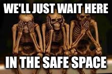 Ahh the safety of a safe space |  WE'LL JUST WAIT HERE; IN THE SAFE SPACE | image tagged in hear no evil,see no evil,speak no evil,safe space,memes | made w/ Imgflip meme maker