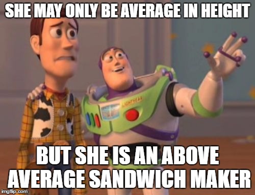 X, X Everywhere | SHE MAY ONLY BE AVERAGE IN HEIGHT; BUT SHE IS AN ABOVE AVERAGE SANDWICH MAKER | image tagged in memes,x x everywhere | made w/ Imgflip meme maker