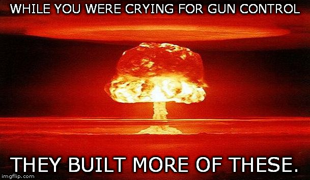 irrationality | WHILE YOU WERE CRYING FOR GUN CONTROL; THEY BUILT MORE OF THESE. | image tagged in nuclear guns | made w/ Imgflip meme maker