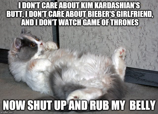 I DON'T CARE ABOUT KIM KARDASHIAN'S BUTT, I DON'T CARE ABOUT BIEBER'S GIRLFRIEND, AND I DON'T WATCH GAME OF THRONES; NOW SHUT UP AND RUB MY  BELLY | image tagged in cat belly | made w/ Imgflip meme maker