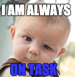 Skeptical Baby | I AM ALWAYS; ON TASK | image tagged in memes,skeptical baby | made w/ Imgflip meme maker