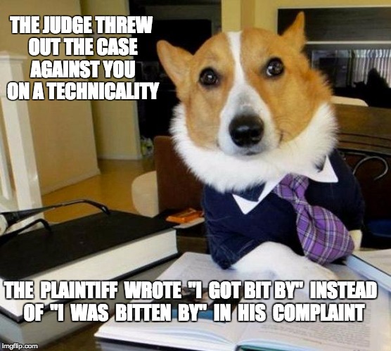 Lawyer dog | THE JUDGE THREW OUT THE CASE AGAINST YOU ON A TECHNICALITY; THE  PLAINTIFF  WROTE  "I  GOT BIT BY"  INSTEAD  OF  "I  WAS  BITTEN  BY"  IN  HIS  COMPLAINT | image tagged in lawyer dog | made w/ Imgflip meme maker
