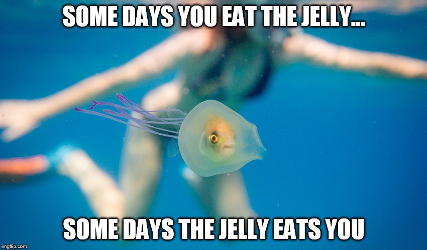 SOME DAYS YOU EAT THE JELLY... SOME DAYS THE JELLY EATS YOU | image tagged in inside the jelly jar | made w/ Imgflip meme maker