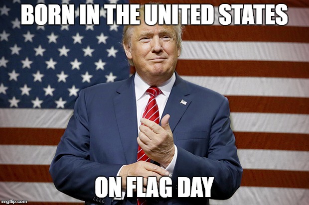 BORN IN THE UNITED STATES; ON FLAG DAY | image tagged in The_Donald | made w/ Imgflip meme maker