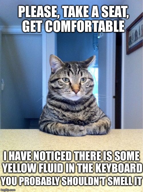 This is one of the reasons I use my iphone for imgflipping | PLEASE, TAKE A SEAT, GET COMFORTABLE; I HAVE NOTICED THERE IS SOME YELLOW FLUID IN THE KEYBOARD; YOU PROBABLY SHOULDN'T SMELL IT | image tagged in memes,take a seat cat,pee,cats,keyboard | made w/ Imgflip meme maker