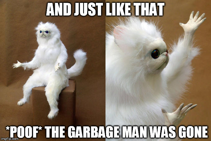 Persian Cat Room Guardian | AND JUST LIKE THAT; *POOF* THE GARBAGE MAN WAS GONE | image tagged in persian cat room guardian | made w/ Imgflip meme maker