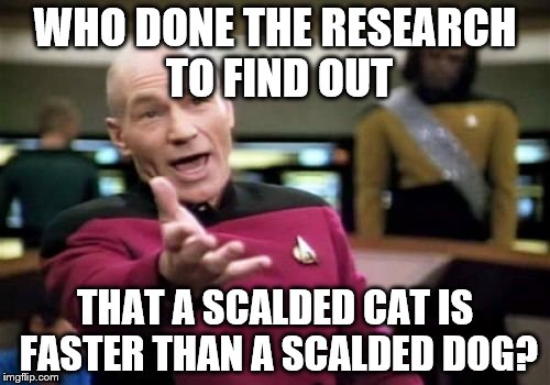 Was this Schrodinger's other experiment?  | WHO DONE THE RESEARCH TO FIND OUT; THAT A SCALDED CAT IS FASTER THAN A SCALDED DOG? | image tagged in memes,picard wtf,science,research,cats | made w/ Imgflip meme maker