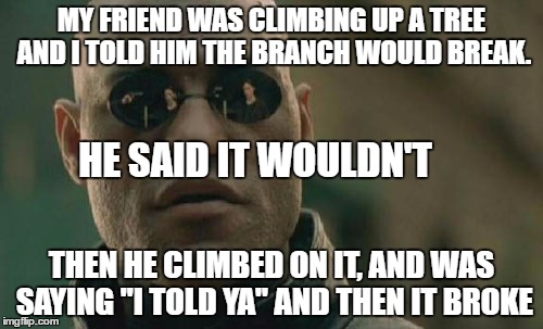 Matrix Morpheus Meme | MY FRIEND WAS CLIMBING UP A TREE AND I TOLD HIM THE BRANCH WOULD BREAK. HE SAID IT WOULDN'T; THEN HE CLIMBED ON IT, AND WAS SAYING ''I TOLD YA'' AND THEN IT BROKE | image tagged in memes,matrix morpheus | made w/ Imgflip meme maker