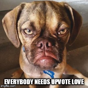 EVERYBODY NEEDS UPVOTE LOVE | made w/ Imgflip meme maker